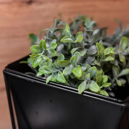 Uniquerent- Luksusowy W Centrum Wroclawia, Tuz Obok Wyspy Slodowej * Breslavia