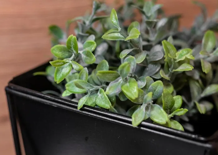 Uniquerent- Luksusowy W Centrum Wroclawia, Tuz Obok Wyspy Slodowej * Wrocław